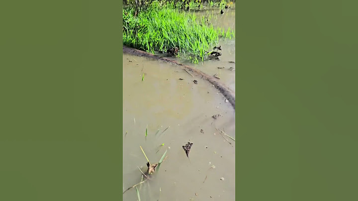 What. How long is that #viral #short