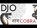 Djo mix   cobra   bollymix