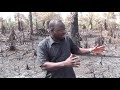 Slash and burn farming in Sierra Leone