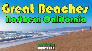 Northern California Beaches | Stinson Beach | Carmet Beach | Portugese Beach | Manchester State Park by Zona Camp & Hike 94 views 2 years ago 5 minutes, 32 seconds