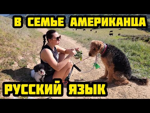 Видео: Элизабет Хассельбек Чистая стоимость