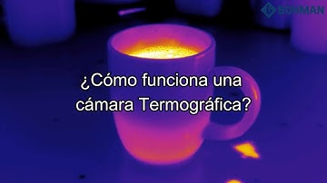 ¿Cómo funciona una cámara termográfica? (Video 9) FLIR / BOHMAN
