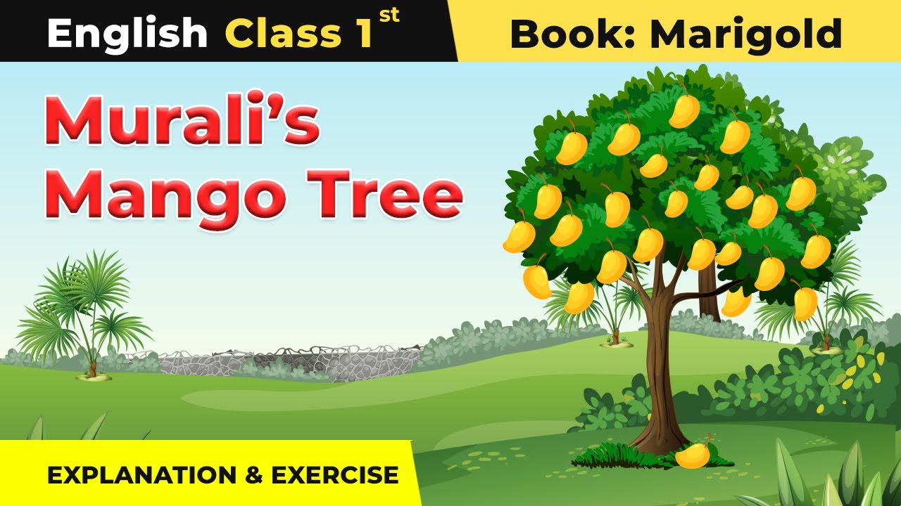 Class 1 English Unit 6 | Murali's Mango Tree Story - Explanation ...