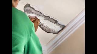 堤業國際  地震房屋牆壁龜裂、DIY壁癌去除  十分有效  學會讓你省下購車頭期款  修護材料 密黏補milliput