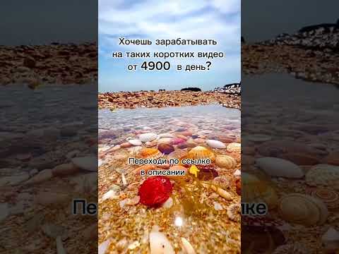 Новый способ заработка на коротких видео