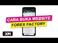 Forex Factory tidak bisa dibuka
