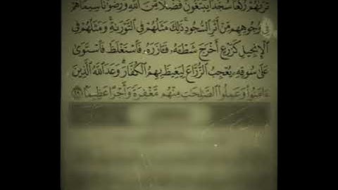 سورة الفتح بصوت القارئ المبدع { محمد عيسى الخليفات }