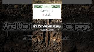 Mountains Roots #miracle #quran
