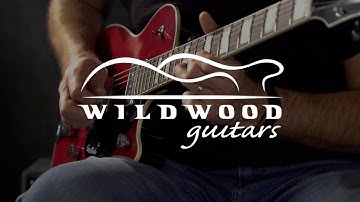 Gretsch Masterbuilt G6131CS 1955 Firebird Jet  •  SN: UC18081686