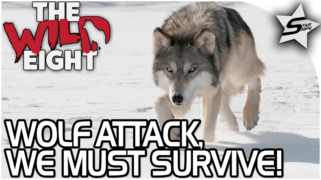 THE WILD EIGHT - WE MUST SURVIVE, WOLF ATTACK, GIVEAWAY!! - The