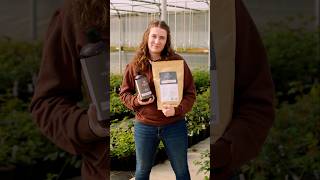 Feed your roses to make them flourish! Try this powerful duo today! #rosegardening #gardening #rose
