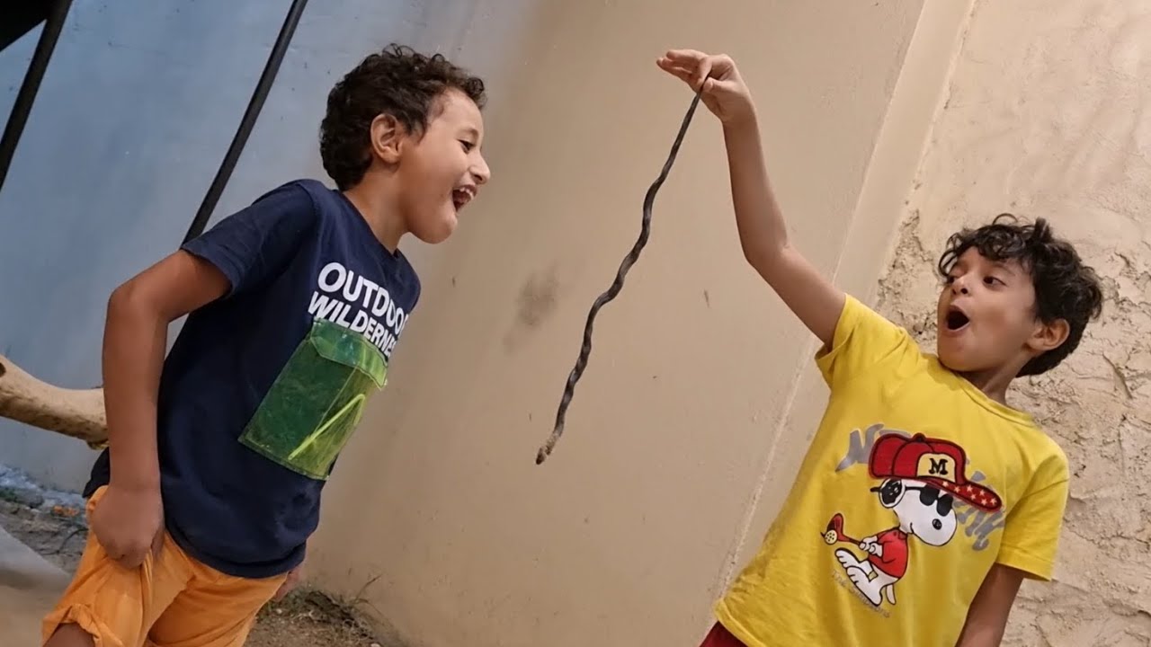 مسكنا الثعبان الأسود الخبيث