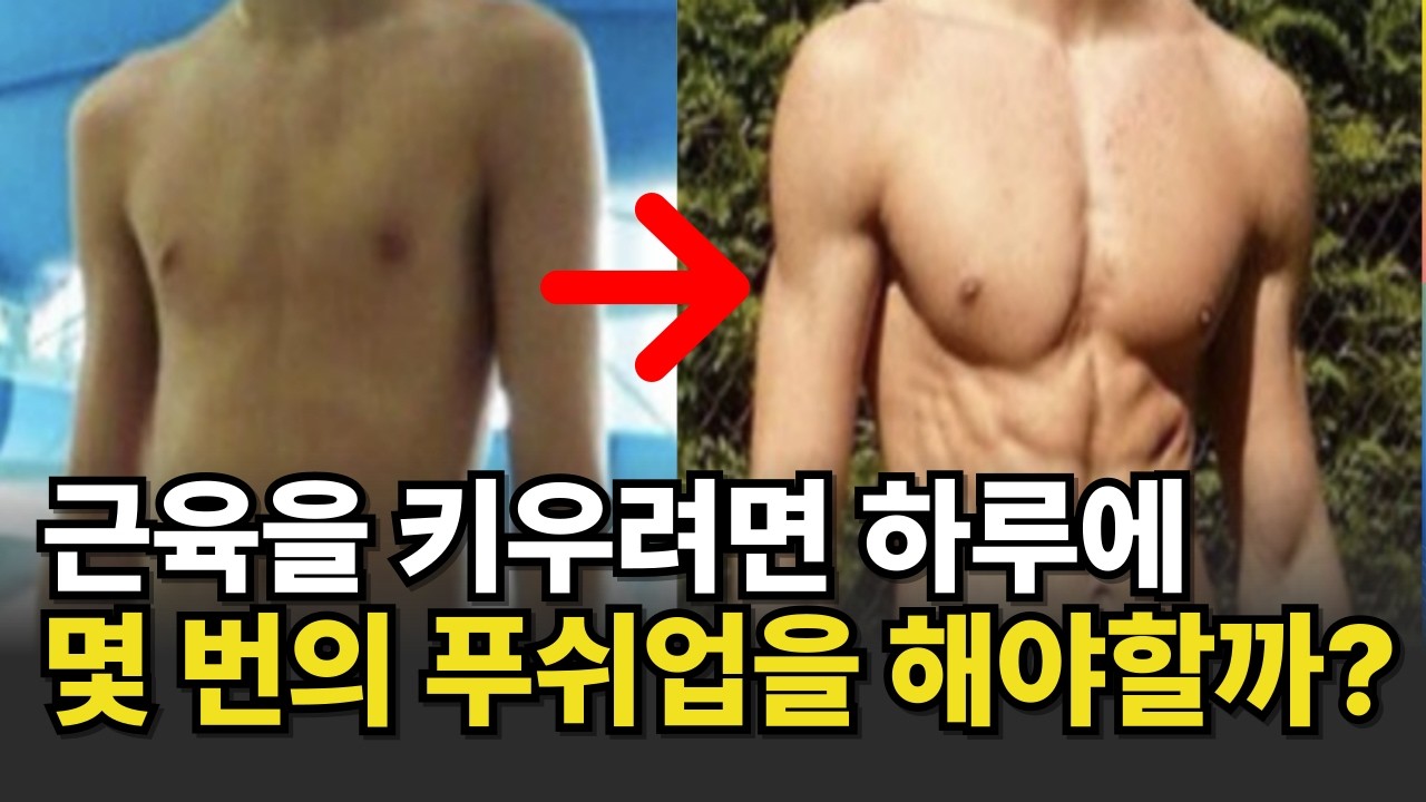 푸쉬업 얼마나 자주 해야할까? 당신의 다음 5년을 결정할 가장 완벽한 푸쉬업 루틴