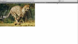 Famous Make a Professional Website Slideshow - Part 1 - Introduction Net Worth