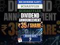 Schaeffler Dividend 2026 #shortsfeed