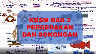 BIOLOGI KBSM TINGKATAN 5- Bab 2 Pergerakan dan Sokongan (Versi Tahun 2020)