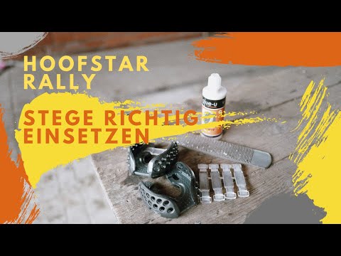 Steg einsetzen Hoofstar