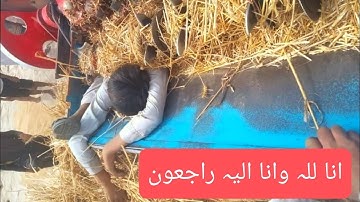 Wheat Thresher | Wheat Is Threshed With The Help Of White Thresher | Tractor ki Video