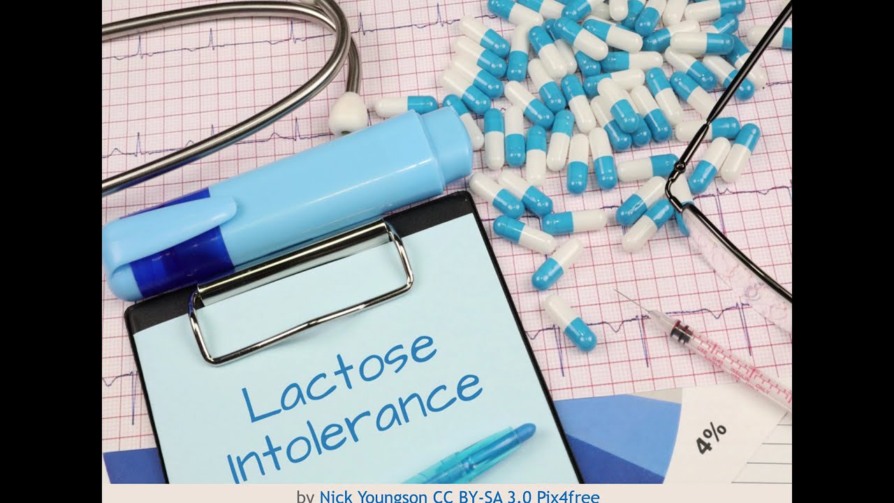 Exercice sur l'expression de l'information génétique