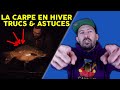 La carpe en hiver  trucs et astuces