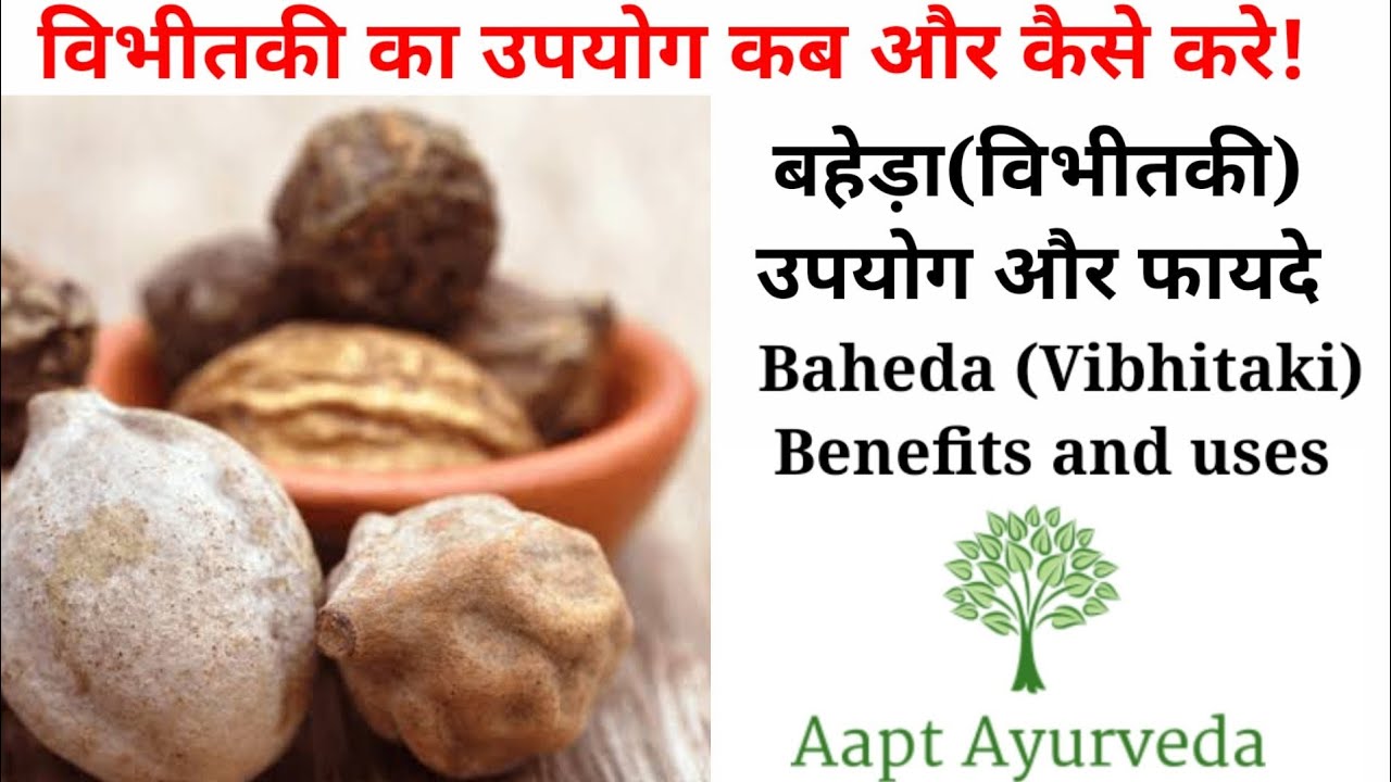 बहेड़ा (विभीतकी)के फायदे और उपयोग Baheda ( Vibhitaki ) uses and