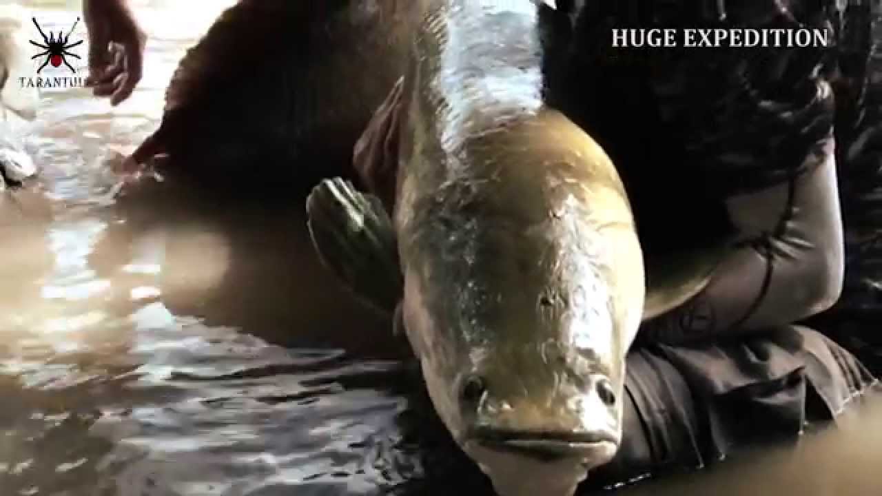 HUGE EXPEDITION』 鵜山和洋 | deps OFFICIAL HP | デプス 公式HP