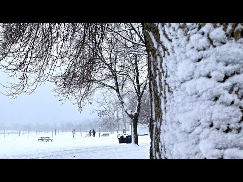 2021年冬天的初雪