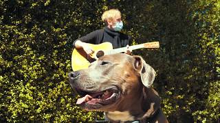 Third Eye Blind Stephan And Kryz, The Kids Back Garden Acoustic. Also Bruce, Stephans Dog.