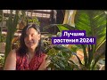 Лучшие растения 2024. Кого мне посчастливилось встретить. Самые достойные