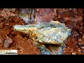 Rich Gold Bearing Vein Found In Roadside Outcrop!