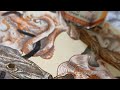 Fountain pen drawing Annihilation| illustration @livinedart with @syahi-thegreatindianink2896