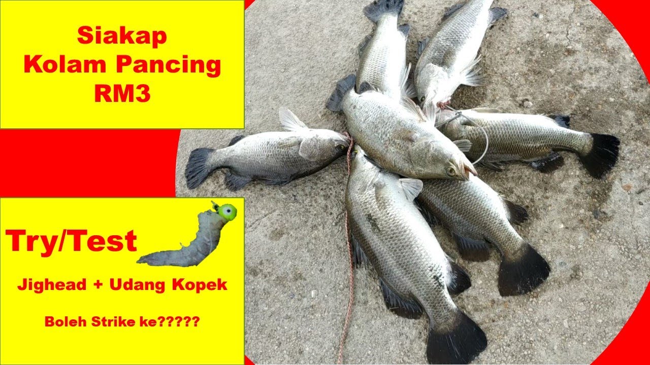 Jighead + Udang Kopek | 