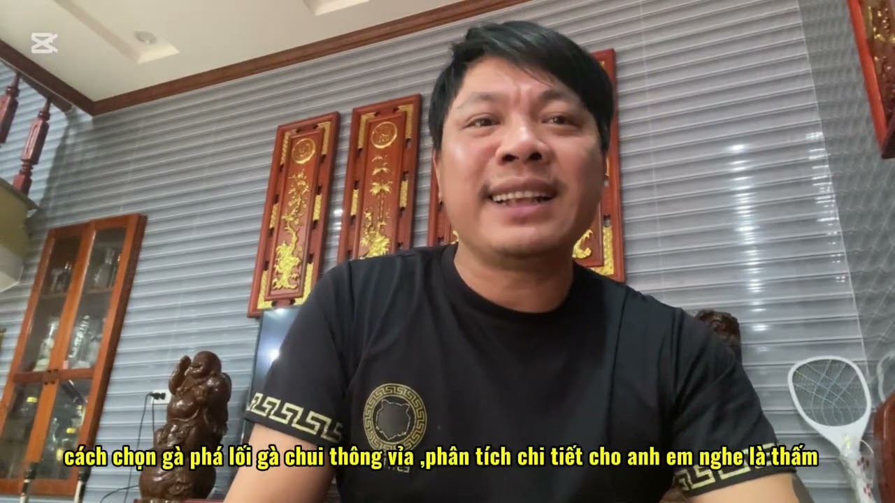 cách chọn gà ,phá lối gà chui thông vỉa , phân tích !chi tiết , nghe là thấm tintuc24h phát 6h 30tối