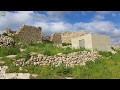 دير الصمادية الجنوبي عجلون شمال الاردن دير الصمادية الجنوبي عجلون شمال الاردن