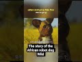 क्या आप ने ऐसा कुत्ता देखा है जो रोबोट बन गया 🦴🐕 #ytshorts #viral #animals #story