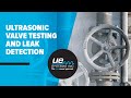 Ultrasonic valve testing and leak detection