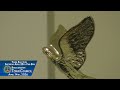 Town Council Meeting - 04/14/2026
