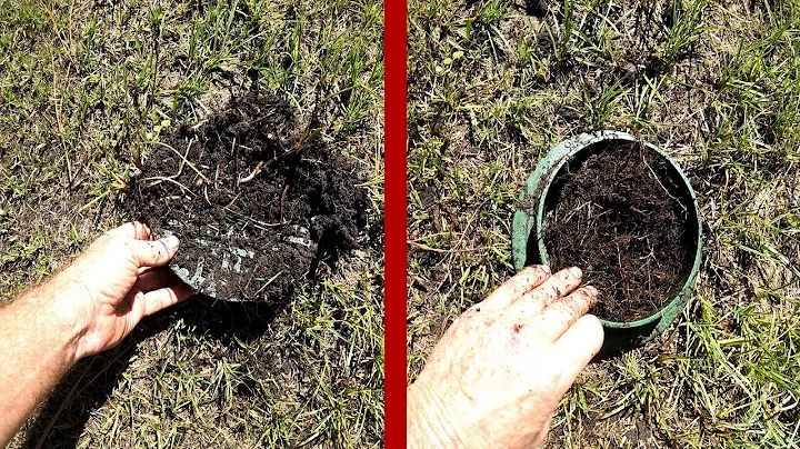 How to Fix Overgrown Catch Basin