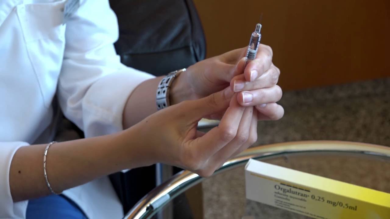 Orgalutran®: La preparazione e somministrazione della medicina. Instituto Bernabeu