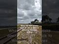 Airplane landing views from the Railroad Tracks #airplane