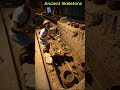 Unveiling Pharaoh S Bones Ultra Slow Motion Egyptian Skeletons Exposed 31 Unveiling Pharaoh S Bones Ultra Slow Motion Egyptian Skeletons Exposed 31