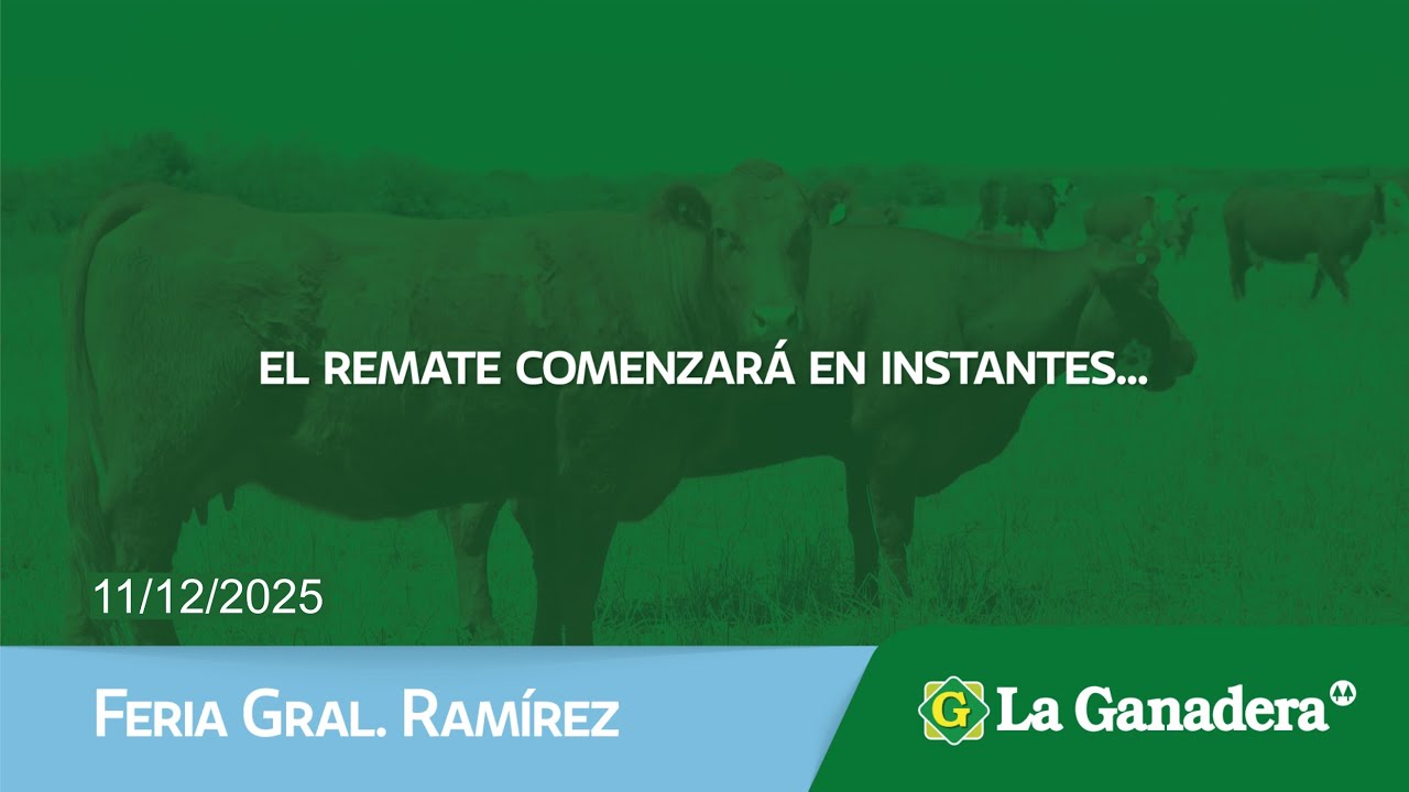 Remate de Hacienda Coop. LA GANADERA - Feria Gral. Ramírez - Jueves 11 de Diciembre 2025.