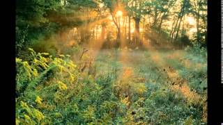 اذكار الصباح screenshot 5