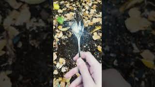Day 1 of digging a hole for every new subscriber￼￼