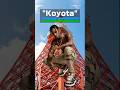 "こよた"の最速ロジック #フォートナイト #fortnite #解説 #こよた #koyota