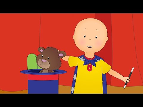 El festival de talentos del colegio | Caillou Español - WildBrain | Caricaturas para niños