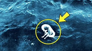 In 1961, Sailors Found A Little Girl Adrift At Sea Hearing Her Story Made Them Burst Into Tears