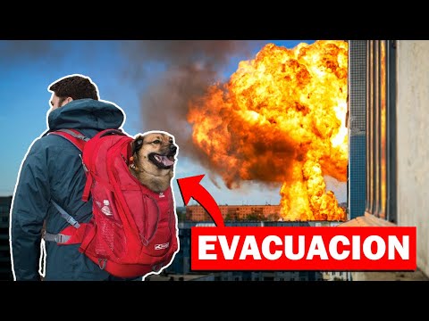 Video: 9 consejos para prepararte a ti y a tus mascotas para una evacuación de emergencia