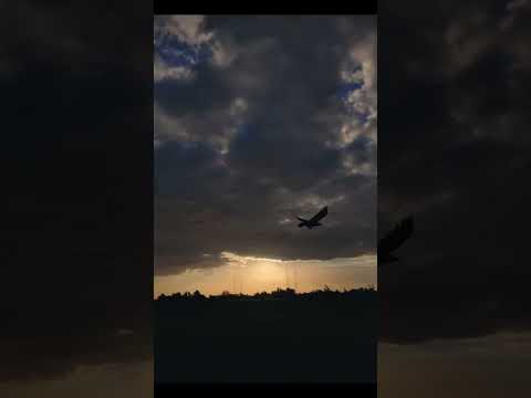 فجر الزمان انا 