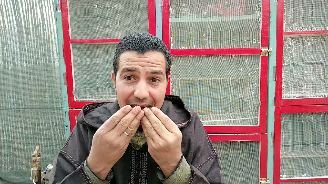 حمام الفعل ،الاصيل،مراكش✨🕊️لكولي سؤال،،،،جوااااااااااااااااااااااااااب🤗